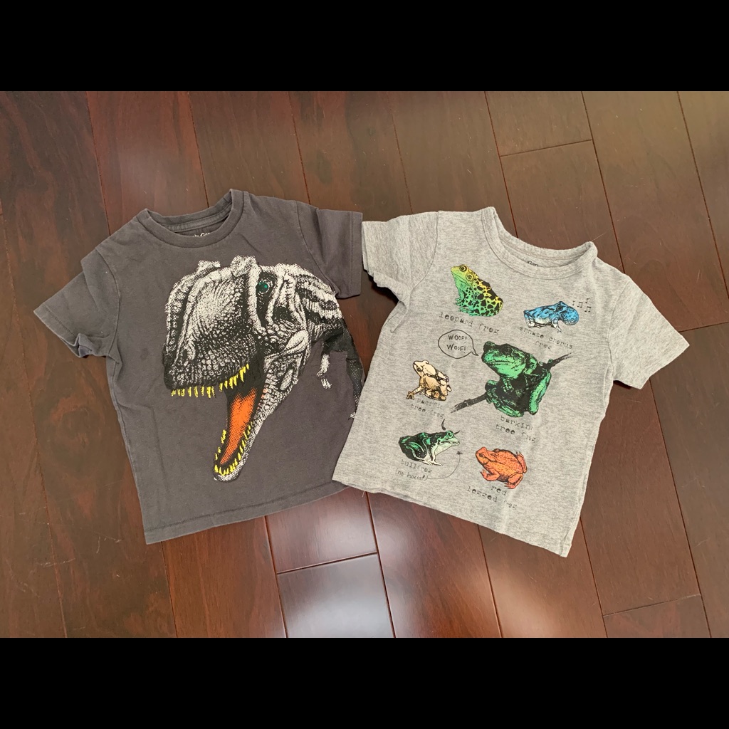 Gap Set Of 2 Screen Print Tees Size 2t